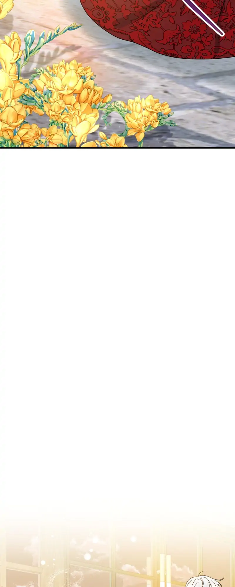 32997650 800 2000 52542