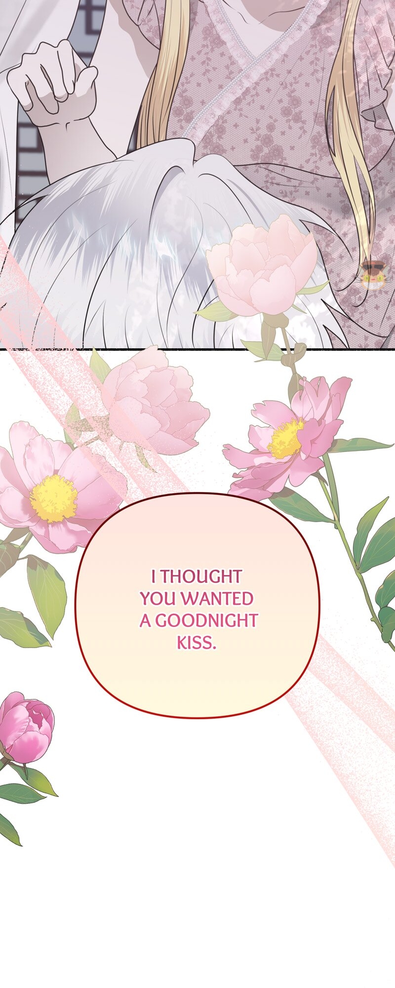 56316596 800 2000 519321